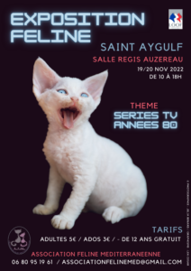 Curated visual reference: Gallery Detail: Www Assofelinemed Fr