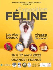 expo féline