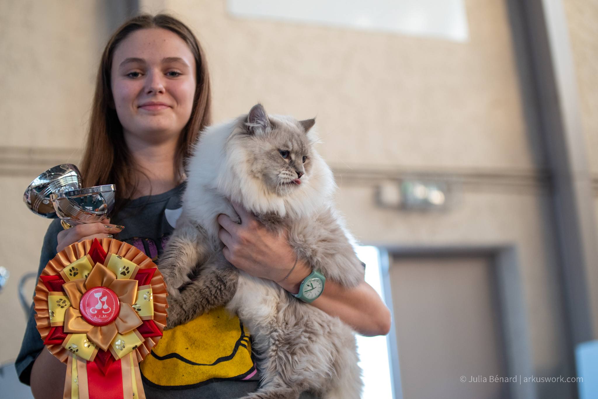 expo feline