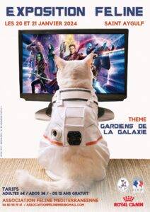 expo féline