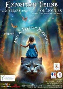 exposition féline