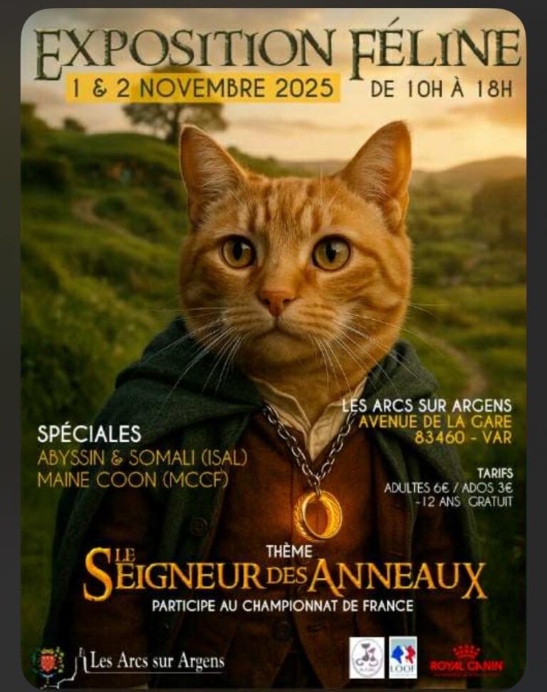 exposition loof chat race concours beauté maine coon bengal sibérien sacré de birmanie les arcs sur argens seigneurs des anneaux show